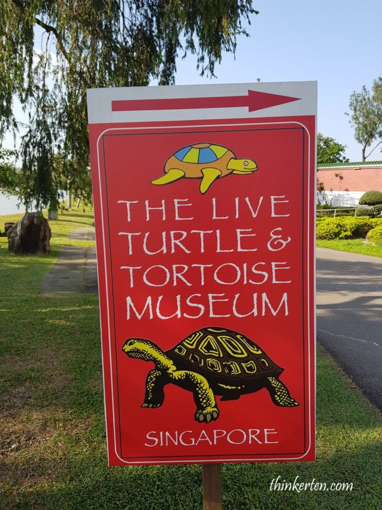 Live Turtle & Tortoise Museum in Singapore Chinese Garden