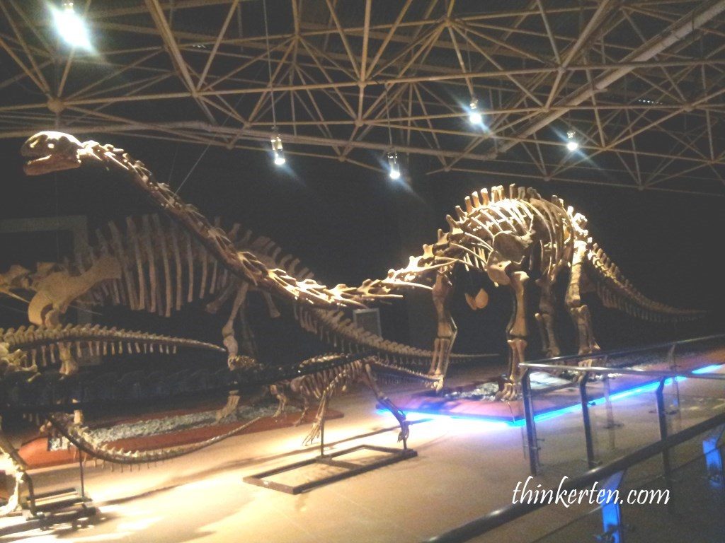 Lufeng/禄丰 Dinosaur Valley 世界恐龙谷
