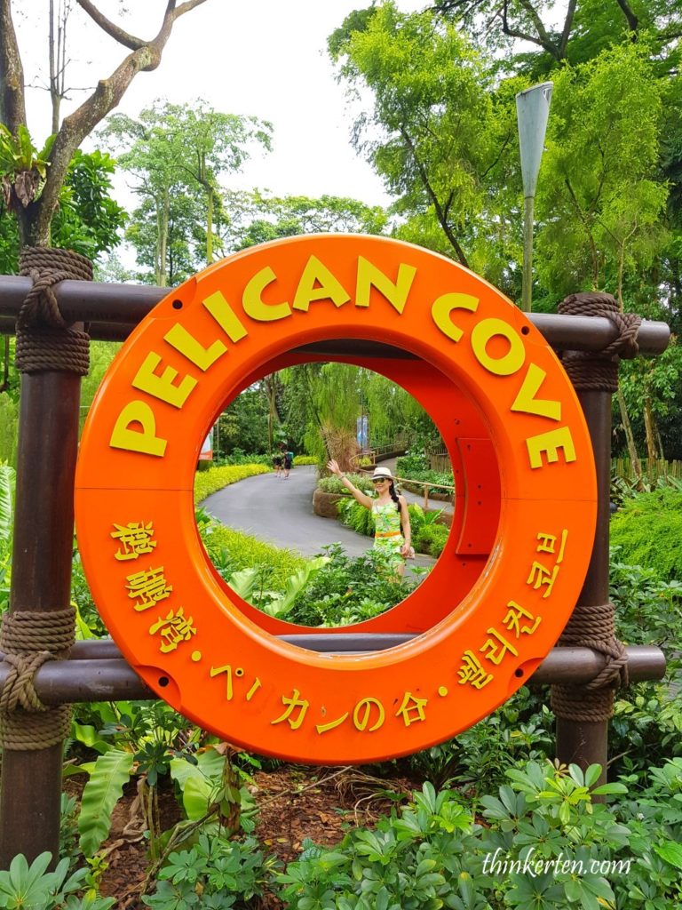 Pelican Cove at Jurong Bird Park