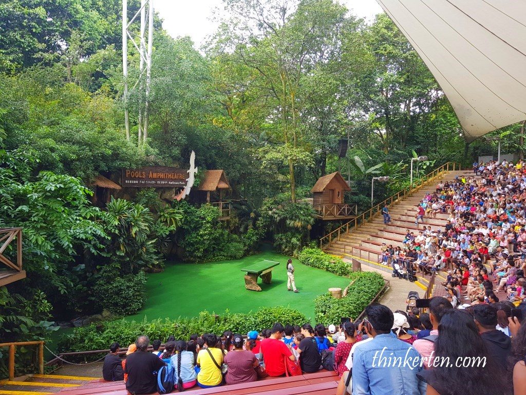 Pool Amphitheater Show at Jurong Bird Park