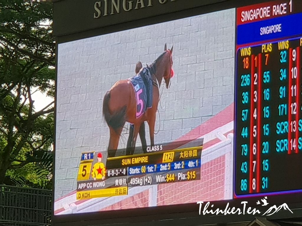 Experience Horse Racing at Singapore Turf Club - Kranji Racecourse in Singapore Way!
