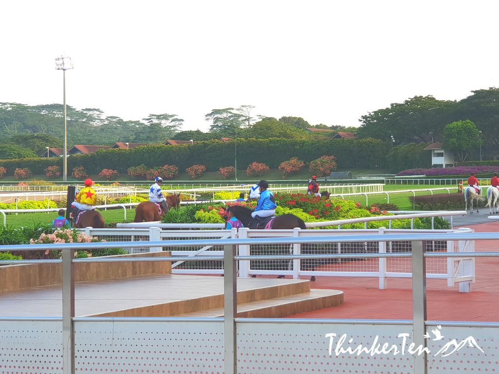 Experience Horse Racing at Singapore Turf Club - Kranji Racecourse in Singapore Way!