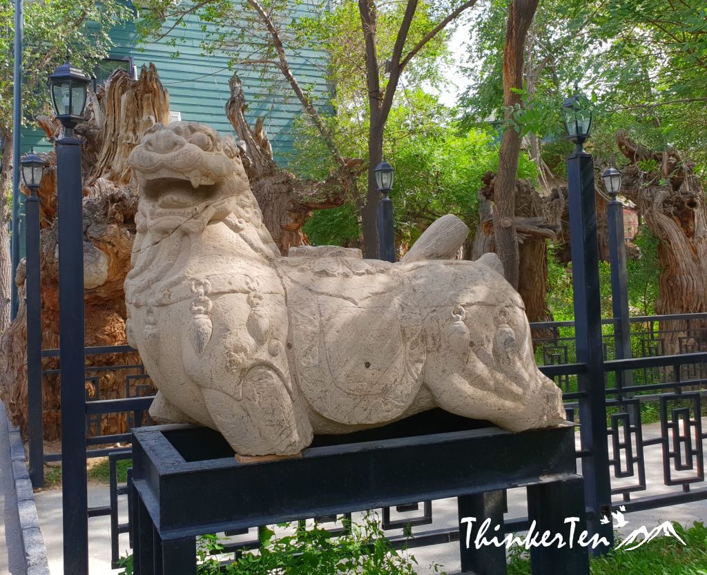 China : Xinjiang Ancient Ecological Park boost Akhal-teke Horse / 汗血宝马