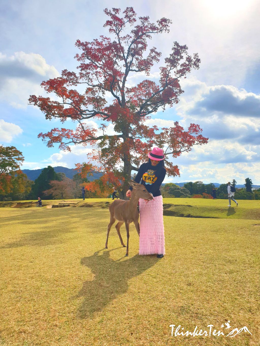The Bowing Deer at Nara - Top 14 Things you need to know before you visit Nara Park!