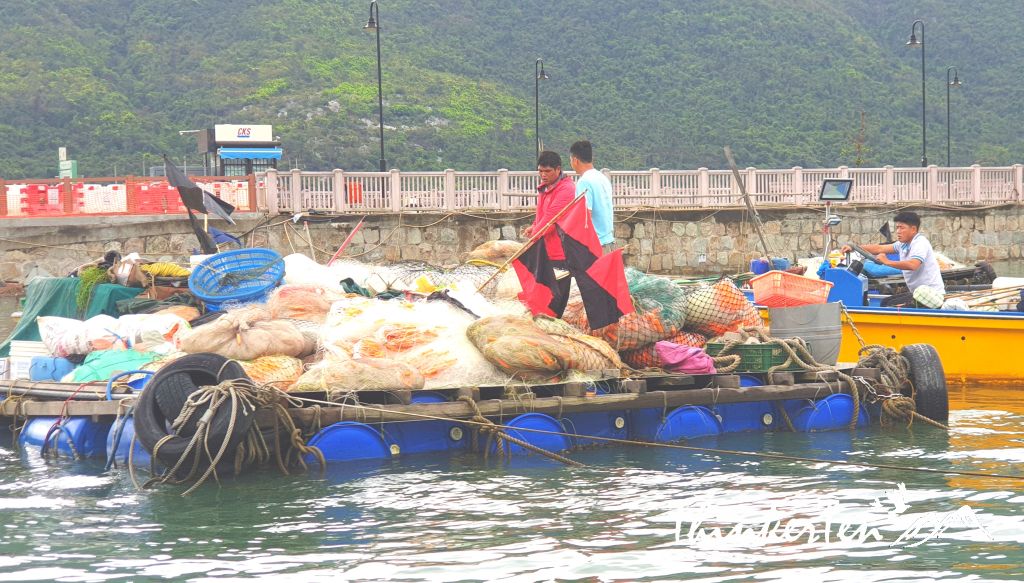 33 Things you need to know in Hong Kong Fishing Village Tai O