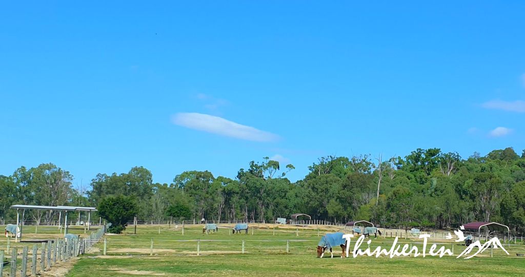 Australian Farm Experience - Paradise Country Gold Coast Queensland