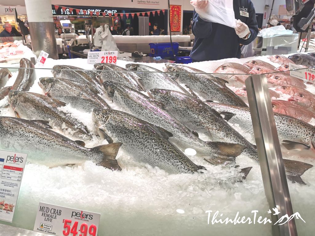 Sydney Fish Market -Overpriced but Is it worth for a visit?