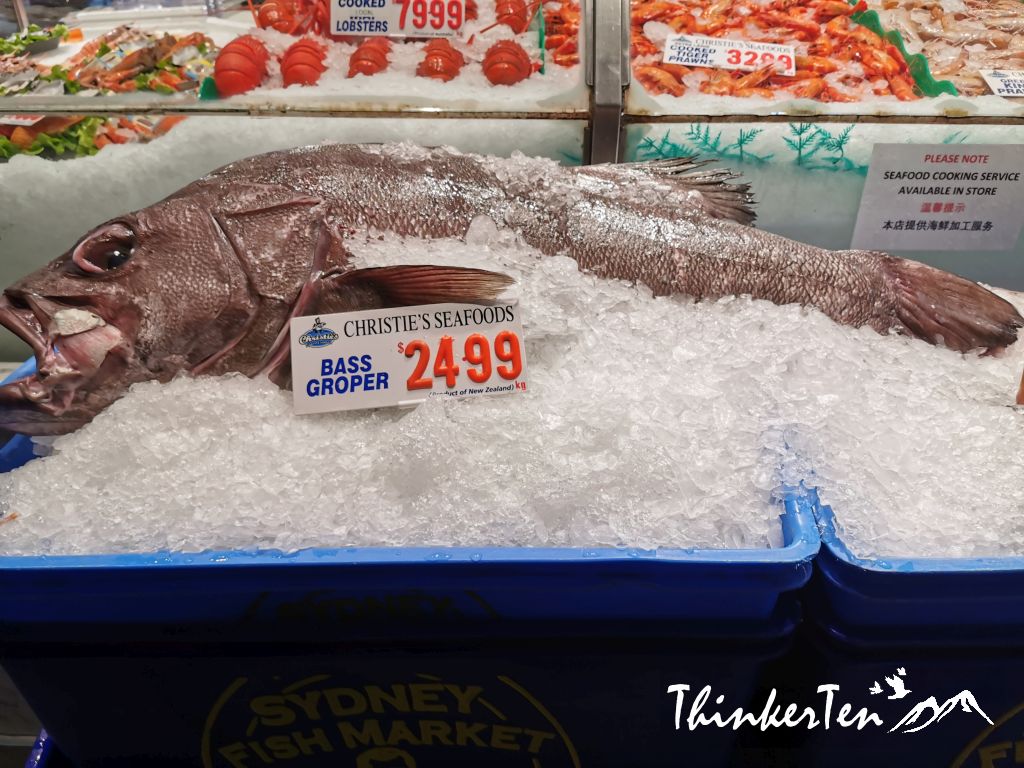 Sydney Fish Market -Overpriced but Is it worth for a visit?