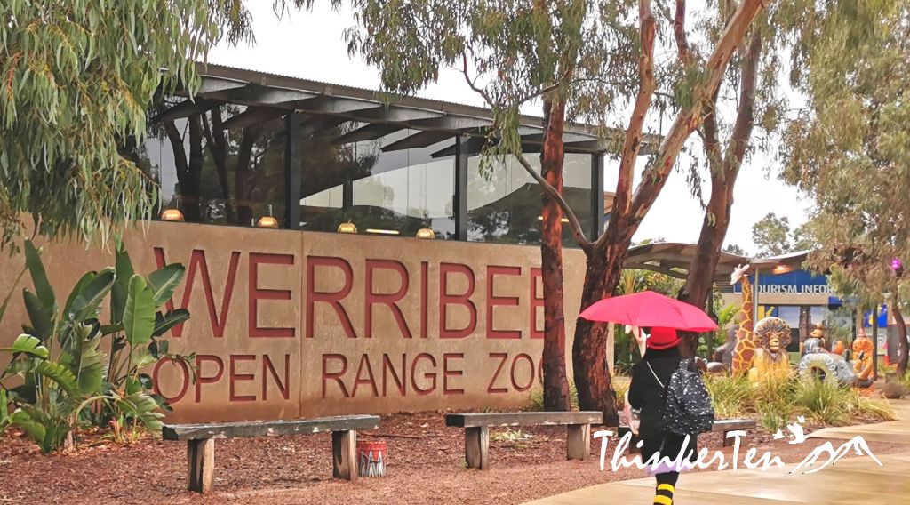 A Taste of African Savannah in Werribee Open Range Zoo, Melbourne Australia