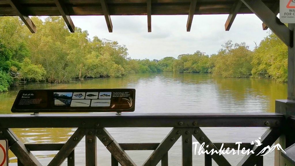 What you need to know about Sungei Buloh Wetland Reserve Singapore