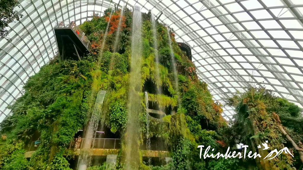 Singapore Garden By the Bay - Flower Dome vs Cloud Forest Dome