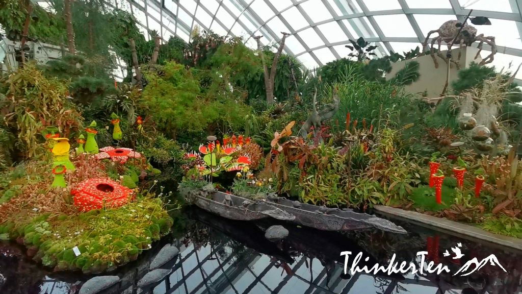 Singapore Garden By the Bay - Flower Dome vs Cloud Forest Dome