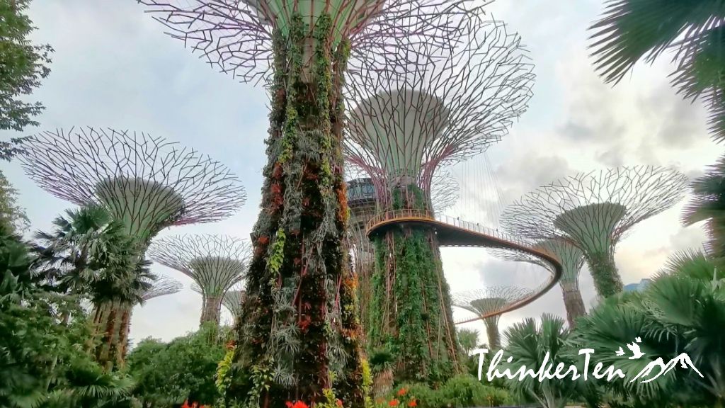 新加坡的空中花园-花穹(Flower Dome)和云雾林(Cloud Forest)