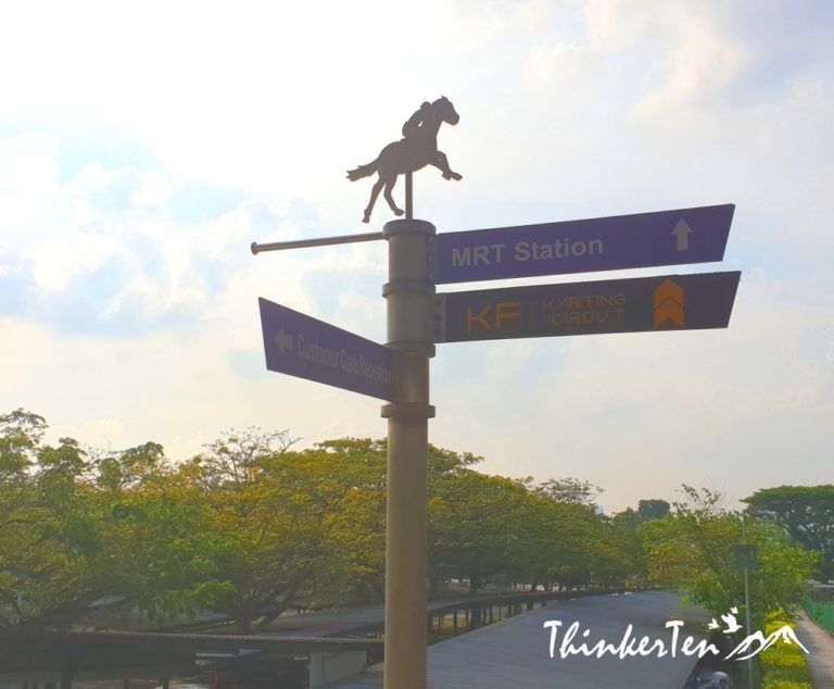 Experience Horse Racing at Singapore Turf Club Kranji Racecourse in