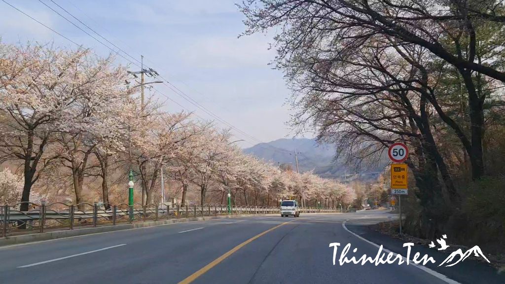 South Korea Self Drive - Danyang Day 7