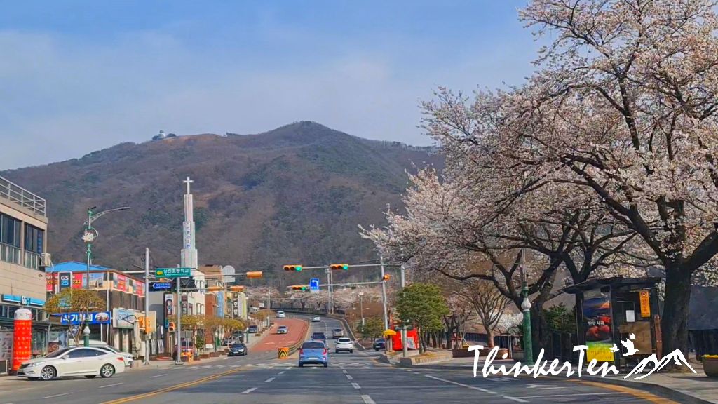 South Korea Self Drive - Danyang Day 7