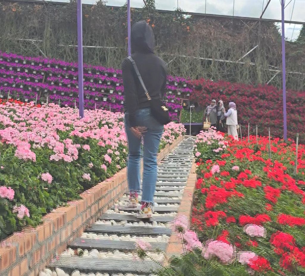My Cameron Highland day trip from Kuala Kangsar
