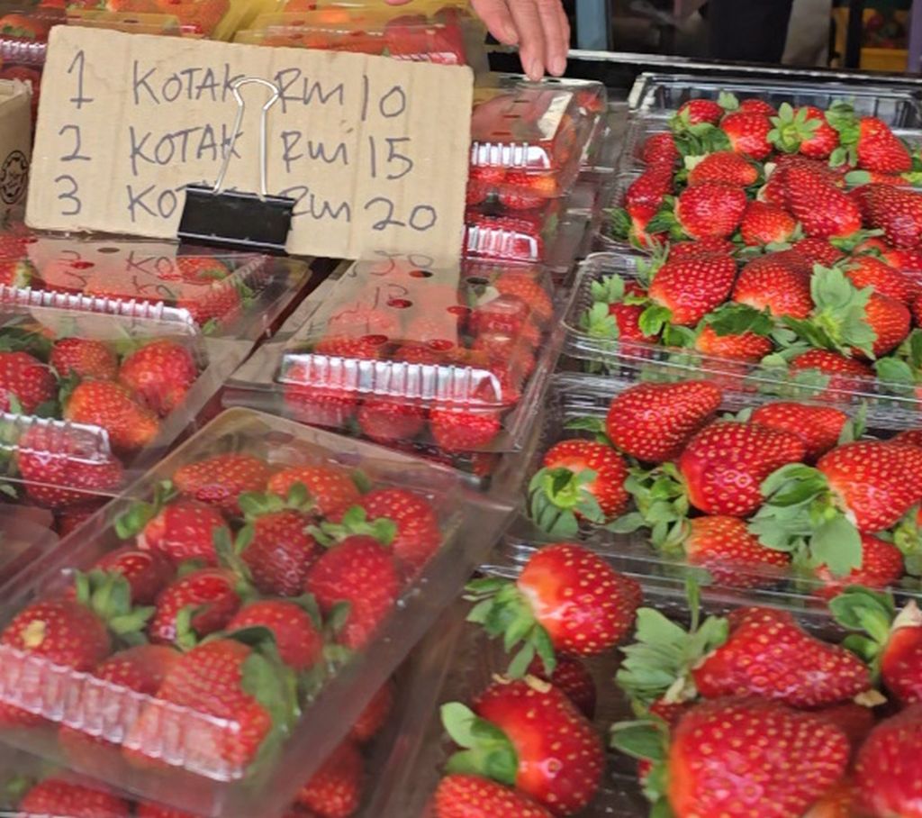 My Cameron Highland day trip from Kuala Kangsar