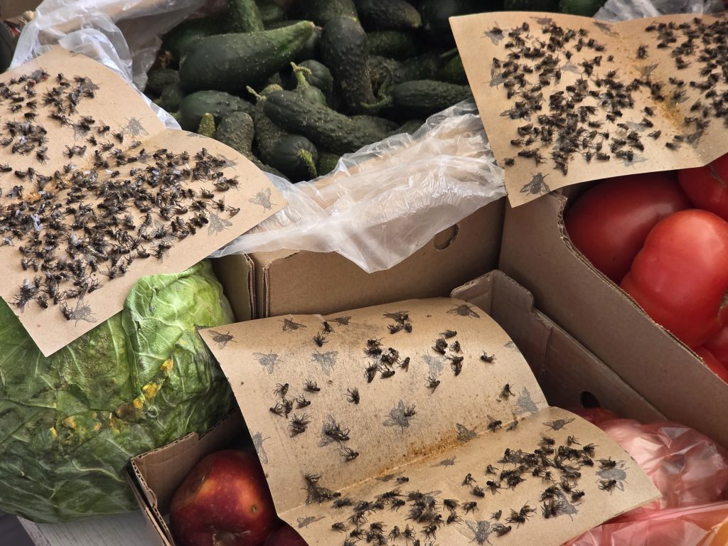 Kazakhstan 11 days Itinerary 4 cities Astana-Turkestan-Shymkent-Almaty