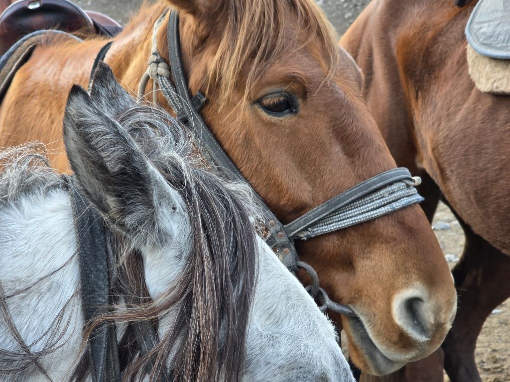 Kazakhstan 11 days Itinerary 4 cities Astana-Turkestan-Shymkent-Almaty